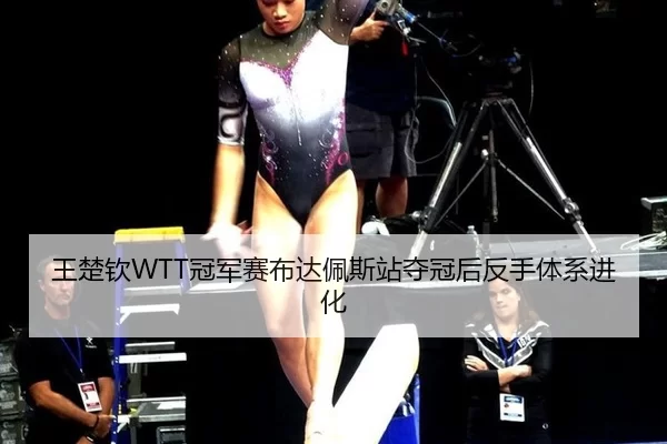 王楚钦WTT冠军赛布达佩斯站夺冠后反手体系进化