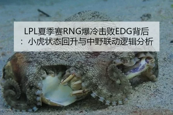 LPL夏季赛RNG爆冷击败EDG背后：小虎状态回升与中野联动逻辑分析
