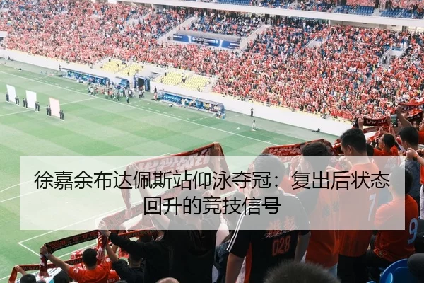 徐嘉余布达佩斯站仰泳夺冠：复出后状态回升的竞技信号